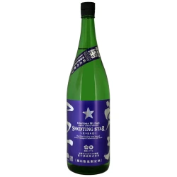 SHOOTING STAR 流星