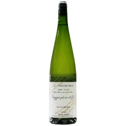 小布施SAKE OBUSE-IL Y A 100 ANS 2023