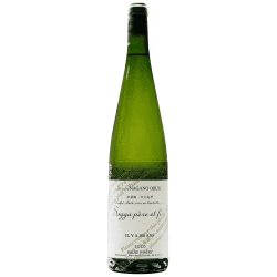 小布施SAKE OBUSE-IL Y A 100 ANS 2023