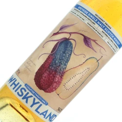 Whiskyland Chapter Twenty One Longmorn 28 years old 龍摩恩 (頹廢飲料)