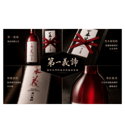 Alternative view of 一本義《第一義諦》