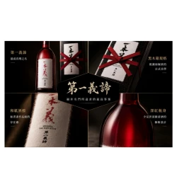 Alternative view of 一本義《第一義諦》